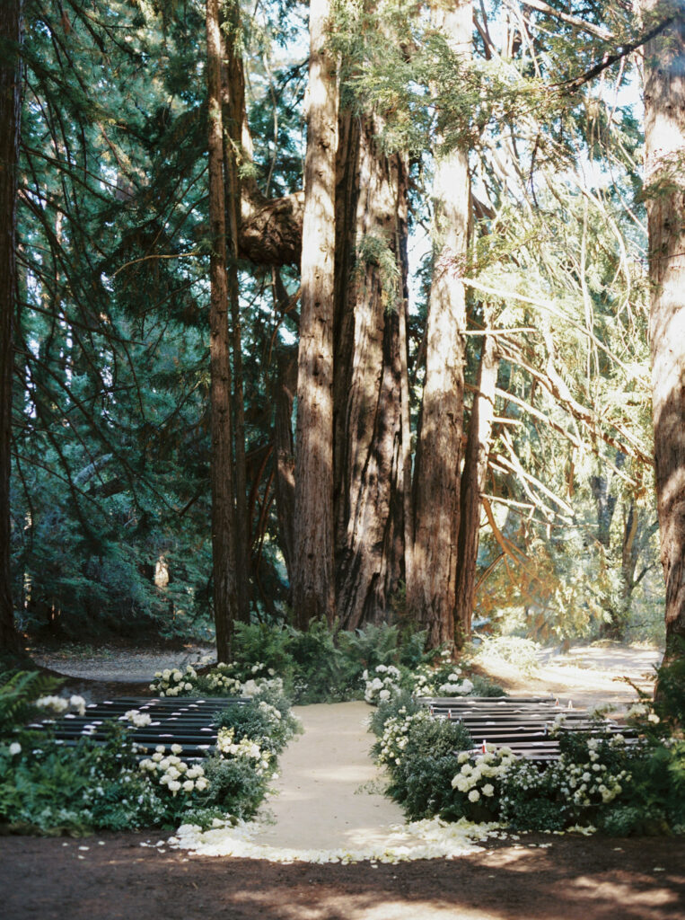 Black tie outdoor wedding at Santa Lucia Preserve redwood grove
Carmel California luxury wedding reception under oak trees