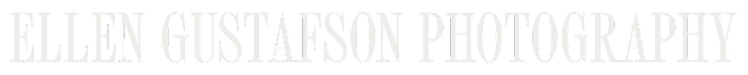 MINNEAPOLIS, MINNESOTA photographer, Ellen Gustafson Photography